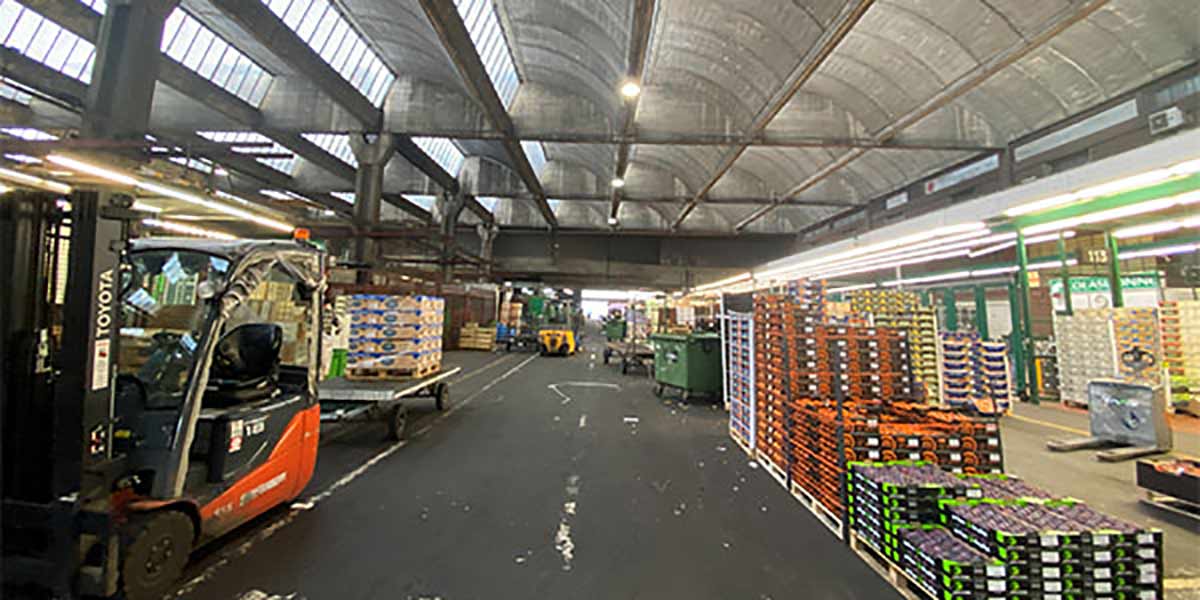 Meloni siciliani: l'esordio è positivo